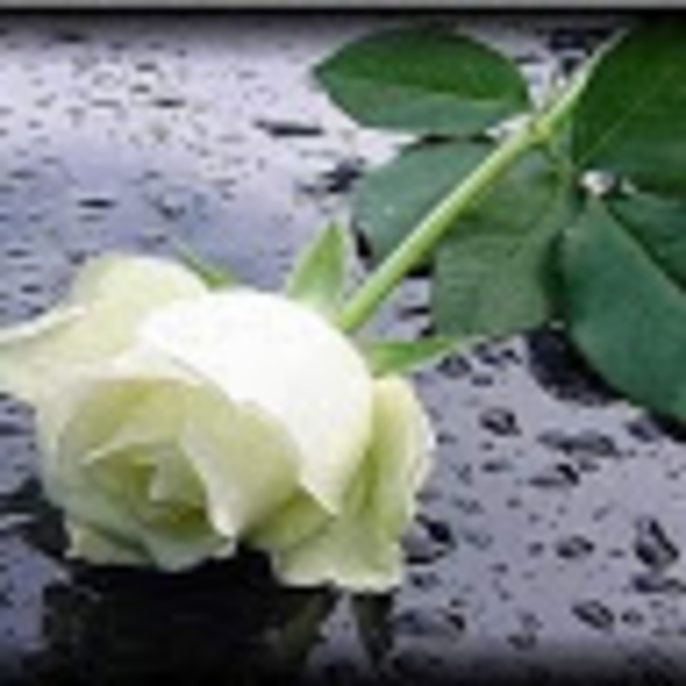 Meet your Posher, Margarita